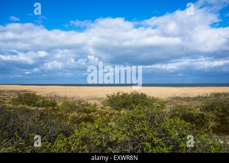 North Sea coast vicino a Rantum, Sylt, Germania Foto Stock