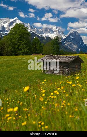 Pfeiffer Alm, Alpspitze, Wettersteingebirge, Baviera, Germania, Europa Foto Stock