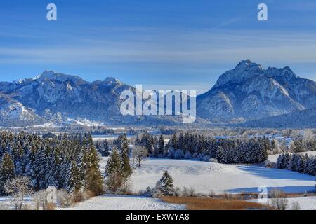 Castello di Neuschwanstein, Alpi Ammergau, Allgaeu, Baviera, Germania, Europa Foto Stock