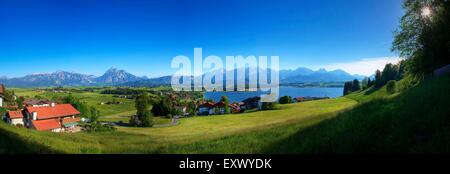 Castello di Neuschwanstein, Alpi Ammergau, Baviera, Germania, Europa Foto Stock