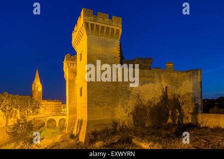 Castello, Tarascon, Bouches-du-Rhone, Provenza - Alpes-Cote d Azur, in Francia, in Europa Foto Stock