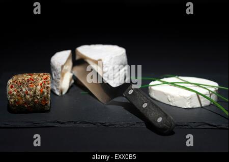 Il formaggio di capra su ardesia Foto Stock