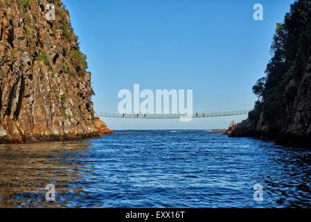 Sospensione ponte sul fiume tempeste, Repubblica del Sud Africa, Sud Africa e Africa Foto Stock