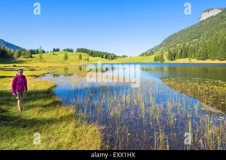 Seewaldsee e montagne del Salzkammergut, Tennengau, Salzburger Land, Österreich, Europa Foto Stock