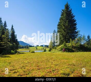 Seewaldsee e montagne del Salzkammergut, Tennengau, Salzburger Land, Österreich, Europa Foto Stock