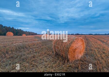 Nella tarda estate del paesaggio con le balle di paglia sul campo di stoppie Foto Stock