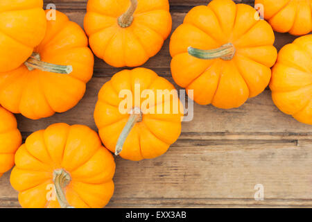 Vista aerea di zucca gialla Foto Stock