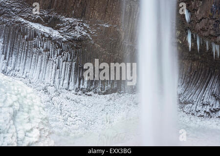 Congelati cade in inverno Foto Stock