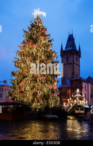 Albero di natale di notte Foto Stock