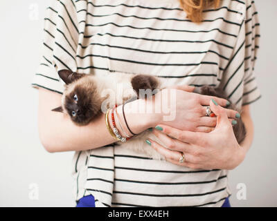 Donna che mantiene gatto siamese gatto Foto Stock