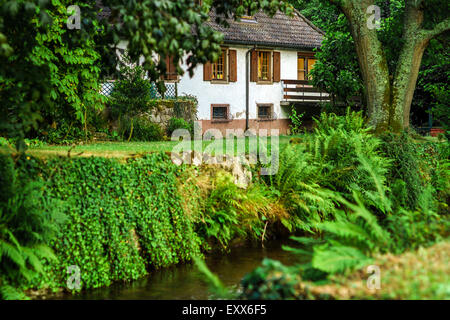 Vecchio villaggio alsacien street view, Francia, estate Foto Stock