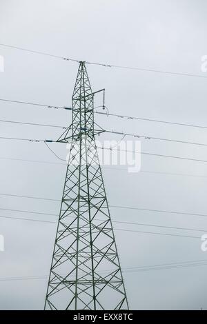 Poli di potenza sul campo contro il cielo nuvoloso Foto Stock