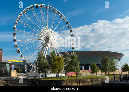 La ruota di Liverpool grande ruota accanto all'Echo Arena, Liverpool, in Inghilterra, Regno Unito Foto Stock