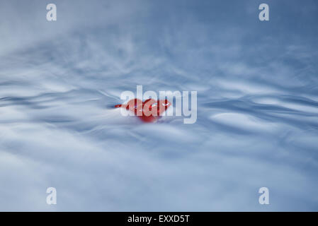 Increspata superficie di acqua Foto Stock