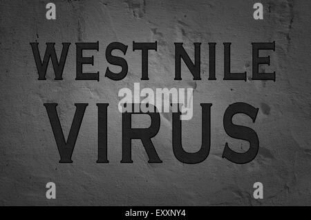 Word West Nile virus isolato su sfondo scuro Foto Stock