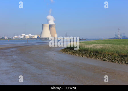 Il Doel Centrale Nucleare nel porto di Anversa, Belgio Foto Stock