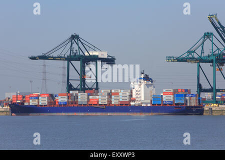 Il Rio Cadice nave portacontainer da Monrovia, Liberia ormeggiati nel porto di Anversa, Belgio Foto Stock