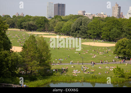 Lo stagno delle tartarughe e il grande prato di Central Park di New York City Foto Stock