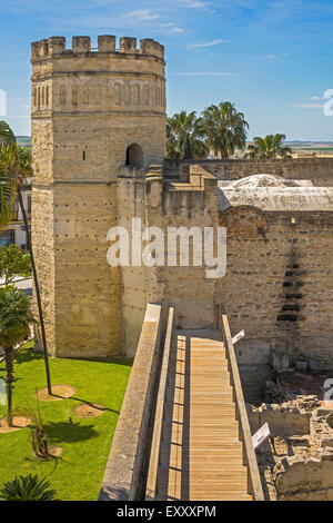 I merli e Torre l'Alcazar di Jerez de la Frontera in Andalusia Spagna Foto Stock