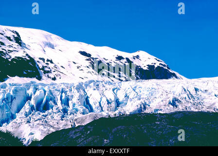 Exit Glacier,Alaska Foto Stock