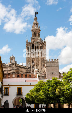 Il campanile della cattedrale di Siviglia, visto dal Royal Alcazar,centro di Siviglia, in Andalusia, Spagna, Europa. © Paul Quayle Foto Stock