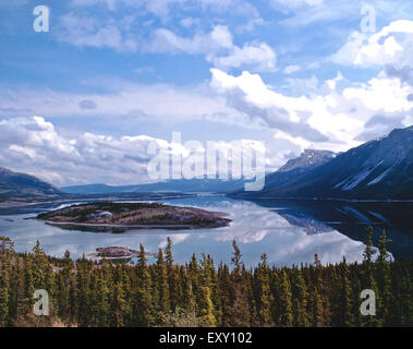 Bove Isola, Lago Tagish Yukon Foto Stock