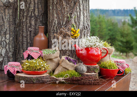 Sacchetti di Hesse con erbe curative, rosso teiera e vasi di marmellata di sano. Foresta sul background. Foto Stock