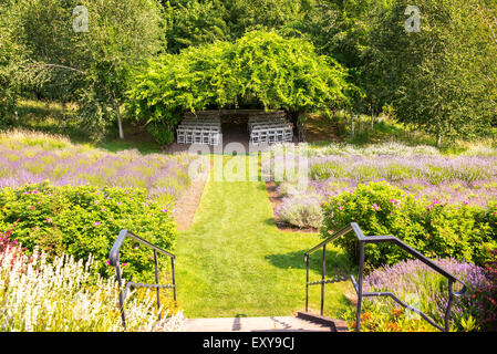Giardino con un sacco di lavanda e sedie in un gazebo coperto Foto Stock