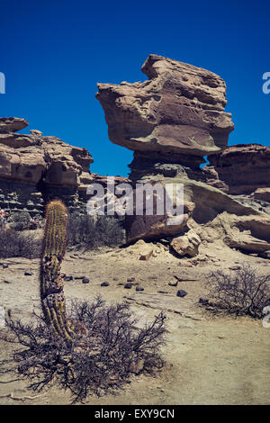 Ischigualasto Parco Provinciale, Valle de la Luna (a valle della luna) Foto Stock