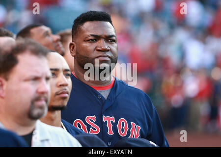 Los Angeles, California, USA. 17 Luglio, 2015. Luglio 17, 2015: Boston Red Sox designato hitter David Ortiz #34 stand con i compagni di squadra per l'inno nazionale prima di una partita tra Boston Red Sox e Los Angeles gli angeli di Anaheim, Angel Stadium di Anaheim, CA, fotografo: Pietro Joneleit Credito: Cal Sport Media/Alamy Live News Foto Stock