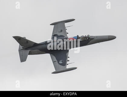 Czech Air Force Aero L-159 ALCA jet aeromobili battenti al 2015 Yeovilton Royal Navy giorno aria Foto Stock