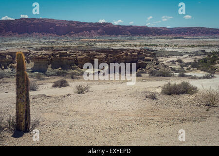 Ischigualasto Parco Provinciale, Valle de la Luna (a valle della luna) Foto Stock