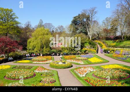 Vista del Dingle giardino formale nel Parco di cava durante la primavera, Shrewsbury, Shropshire, Inghilterra, Regno Unito, Europa occidentale. Foto Stock