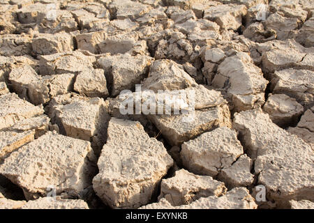 Incrinato la terra e i pesci morti sul caldo e asciutto Foto Stock