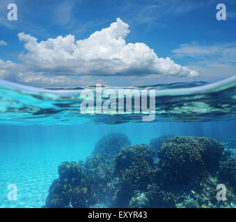 La metà superiore con il cielo blu e nuvole e split subacquea dalla linea di galleggiamento, una barriera corallina con fondale sabbioso, Mar dei Caraibi, Costa Rica Foto Stock