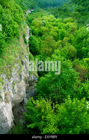 Le pareti del canyon vista in città Kamyanets-Podilskyi, Ucraina Foto Stock