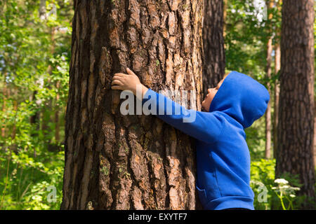 Bambino (boy, mani) abbracciando il pino, giocare e divertirsi all'aperto in estate (Forest Park). La tutela ambientale concetto. Foto Stock