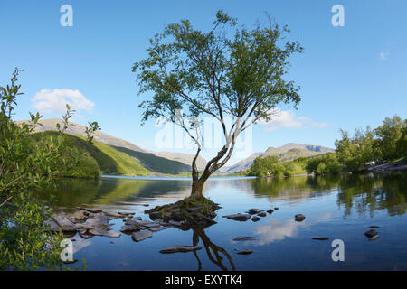 Llyn Padarn con Llanberis passano in background. Foto Stock