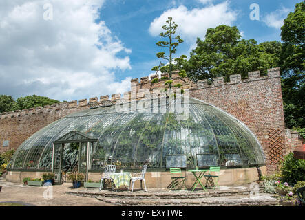 Ramsgate Kent, Regno Unito 17 luglio 2015. Un gigante American Agave, nativo di deserti del Messico, è fiorita in giardino all'italiana a Ramsgate. L'agave, uno di una coppia in serra presso il King George VI Memorial Park è talvolta noto come maguey o secolo pianta come si può crescere per come molti come 100 anni prima che i fiori una volta e poi muore. I fiori sono su un enorme picco che si sta ora avvicinando 30 piedi alta. Una parte del tetto del grado 2 elencato in serra è stata temporaneamente rimossa per consentire la punta a crescere. Foto Stock