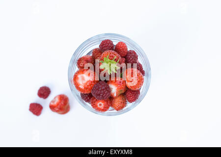 Appena raccolto i frutti a bacca rossa in un vetro, dall'alto. Foto Stock