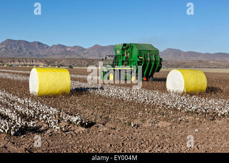 7760 John Deere raccoglitrice di cotone con scheda edificio modulo campo di raccolta. Foto Stock