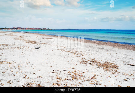 Putzu Idu spiaggia un giorno nuvoloso Foto Stock