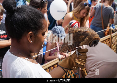 Display di falconeria presso il paese di Lambeth mostrano in Brockwell Park, Londra England Regno Unito Regno Unito Foto Stock