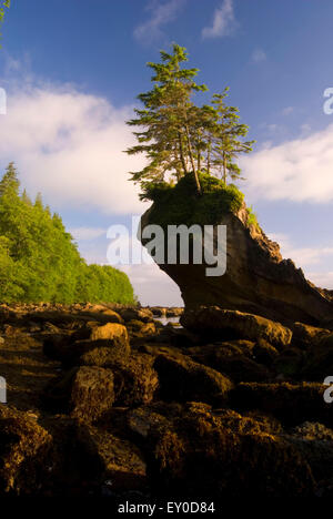 Seastack, Naufragio punto Area Naturale preservare, Washington Foto Stock