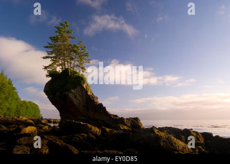 Seastack, Naufragio punto Area Naturale preservare, Washington Foto Stock