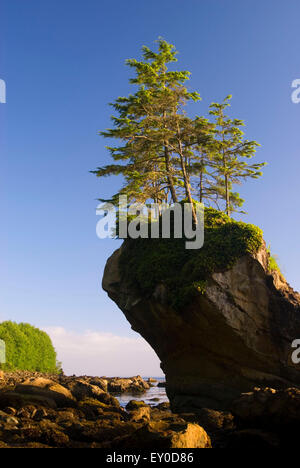 Seastack, Naufragio punto Area Naturale preservare, Washington Foto Stock