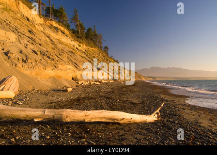 Bluff scogliere sulla spiaggia, Dungeness National Wildlife Refuge, Washington Foto Stock