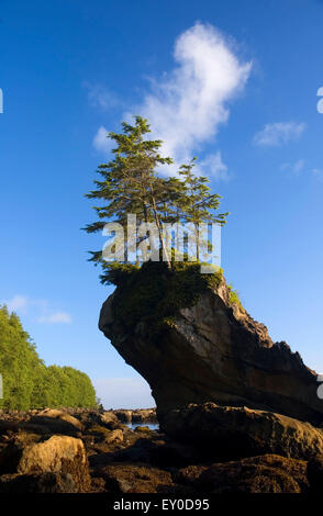 Seastack, Naufragio punto Area Naturale preservare, Clallam County, Washington Foto Stock