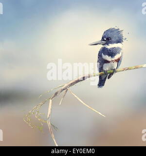 La pittura digitale di Belted Kingfisher Foto Stock