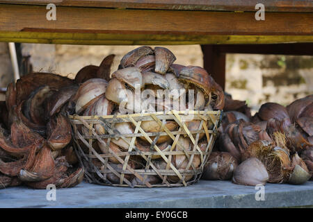 Treccia in legno cesto pieno di vuoto di gusci di noce di cocco. più gusci accanto al cestino, Foto Stock